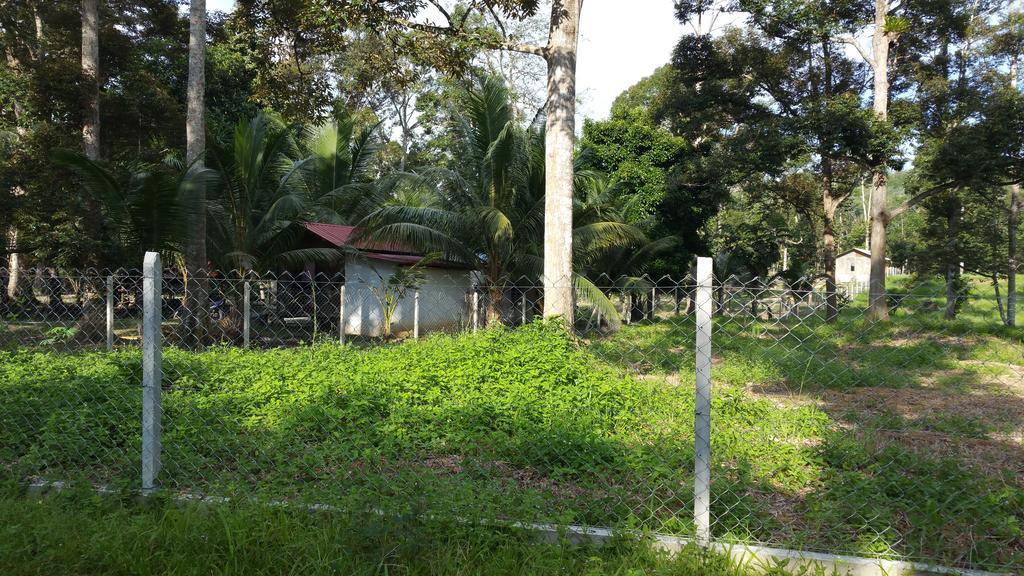 Chalet Kampong Semawar كوالا لكانغسار المظهر الخارجي الصورة