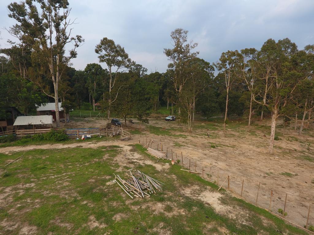 Chalet Kampong Semawar كوالا لكانغسار المظهر الخارجي الصورة