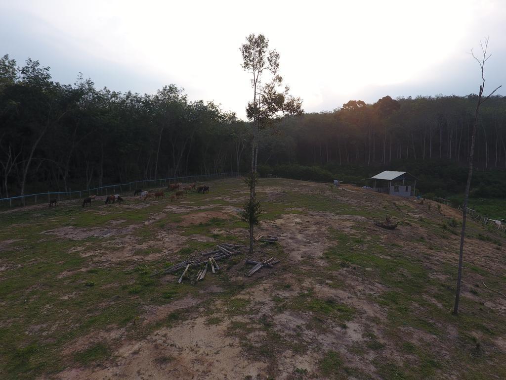 Chalet Kampong Semawar كوالا لكانغسار المظهر الخارجي الصورة